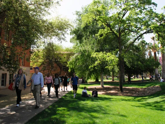 people walking on sidewalk